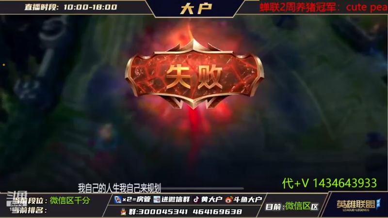 【2022-11-14 20点场】大户呀：是我的猫咪太菜了吗