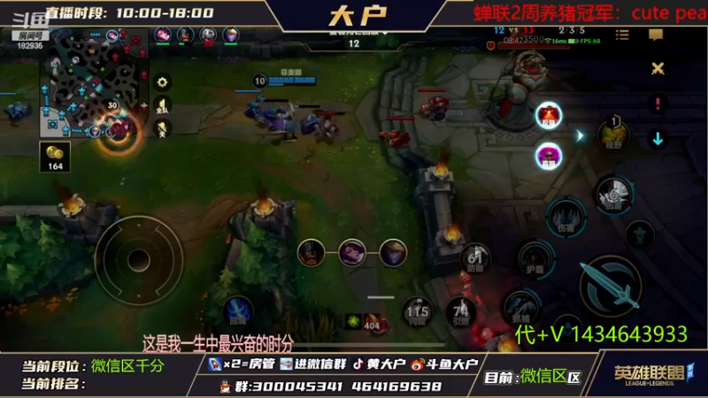 【2022-11-15 11点场】大户呀：是我的猫咪太菜了吗
