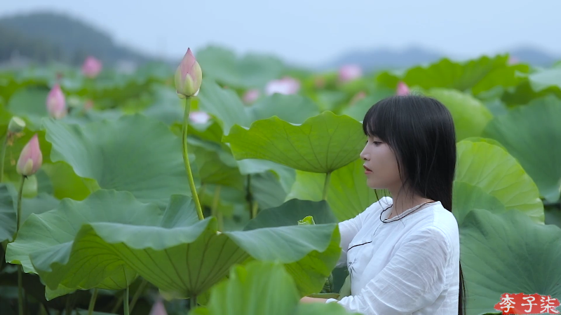 【美食】李子柒liziqi的精彩时刻 20221117 12点场