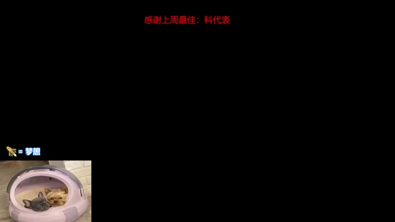 【2022-11-17 15点场】瓦罗兰特啊杰：【啊杰】：开车 开车！！！