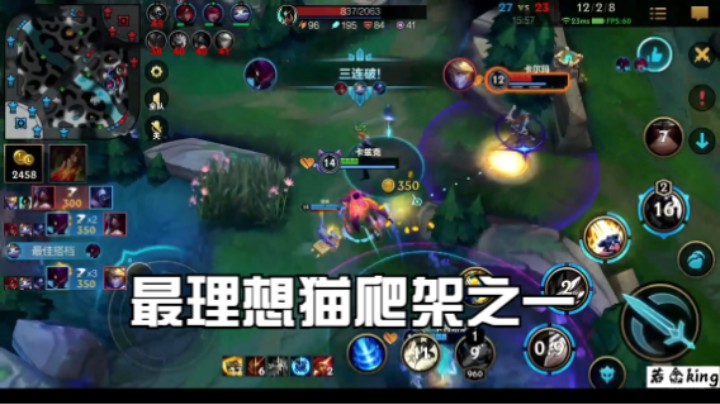 最理想猫爬架之一