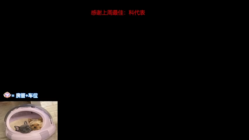 【2022-11-16 15点场】瓦罗兰特啊杰：【啊杰】：开车 开车！！！