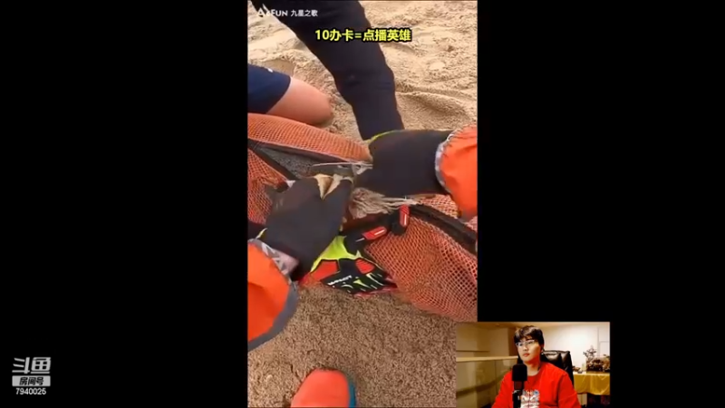 【2022-11-18 17点场】Chogod虫王：虫王：峡谷闹虫灾了