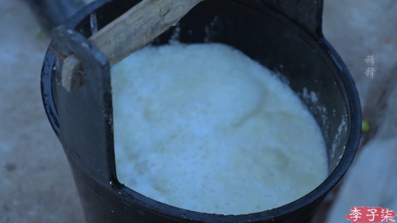【美食】李子柒liziqi的精彩时刻 20221118 16点场