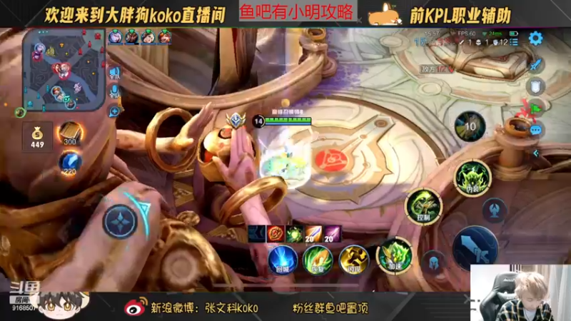 【2022-11-18 20点场】大胖狗koko：（巅峰前100）辅助的神大胖狗ko 进攻
