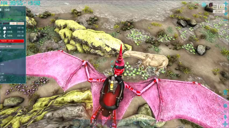 【2022-11-17 19点场】夏木AWT：新人主播，喜欢的请点点关注