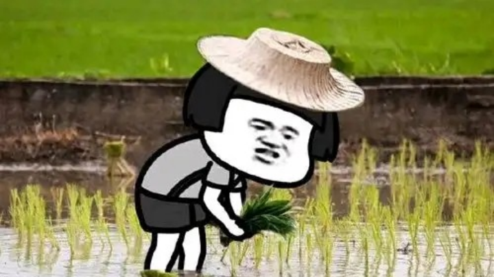 天梯冲分ing