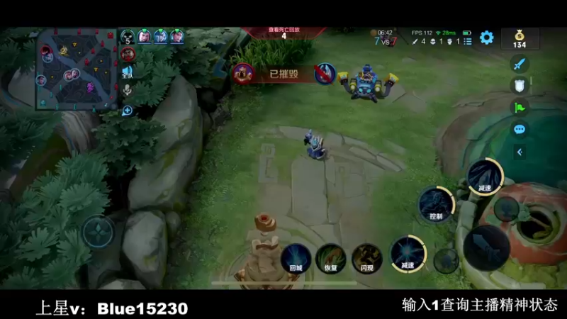 【2022-11-19 20点场】BLUE呀丶：国服王昭君差两把。。