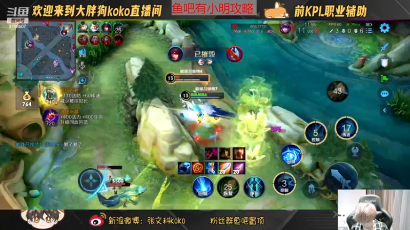 【2022-11-19 18点场】大胖狗koko：（巅峰前100）辅助可不只是混子