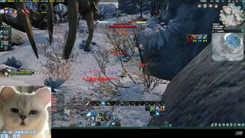 【2022-11-18 19点场】柳小灾：无组织无纪律但讲文明懂礼貌