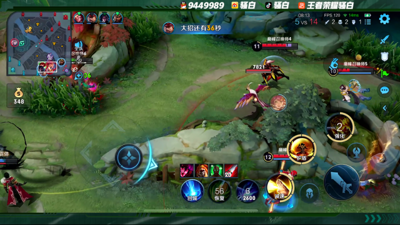 我在斗鱼看骚白直播王者荣耀