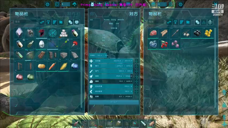 【2022-11-19 01点场】夏木AWT：新人主播，喜欢的请点点关注