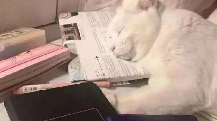 直播回看