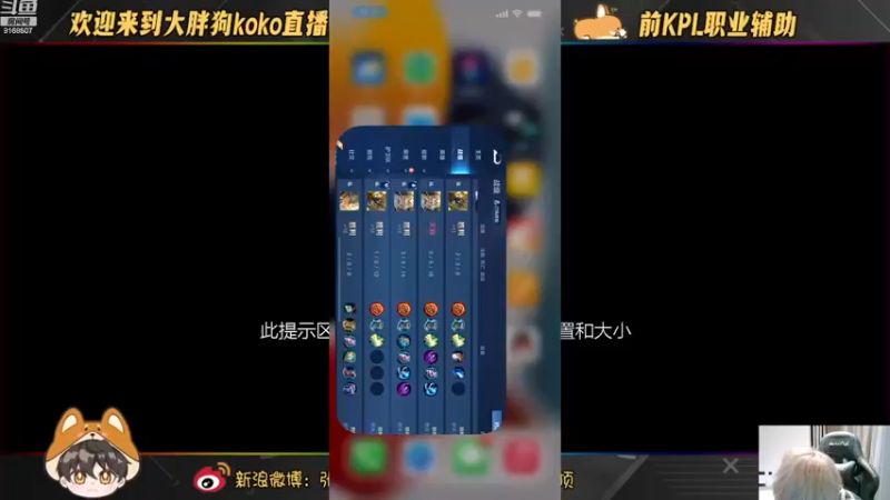 【2022-11-20 18点场】大胖狗koko：（巅峰前100）辅助可不只是混子
