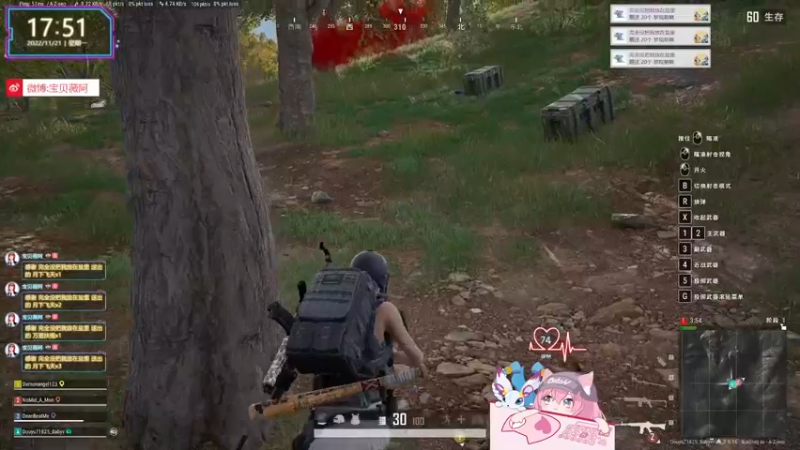 【2022-11-21 17点场】宝贝薇阿：薇：播会pubg