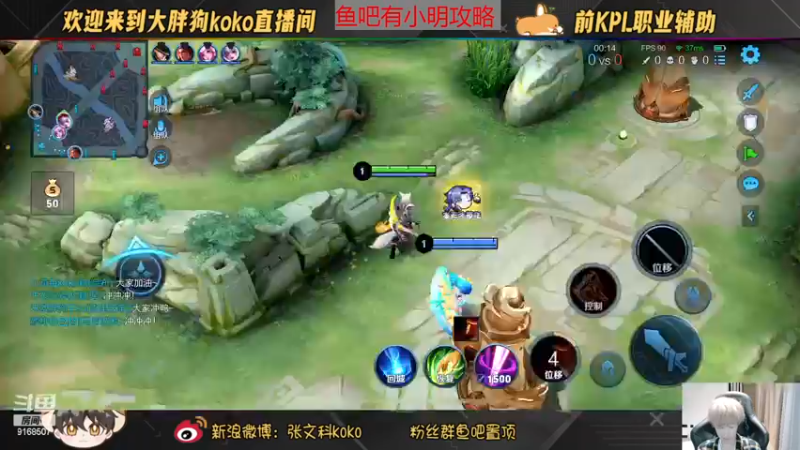 【2022-11-20 22点场】大胖狗koko：（巅峰前100）辅助可不只是混子