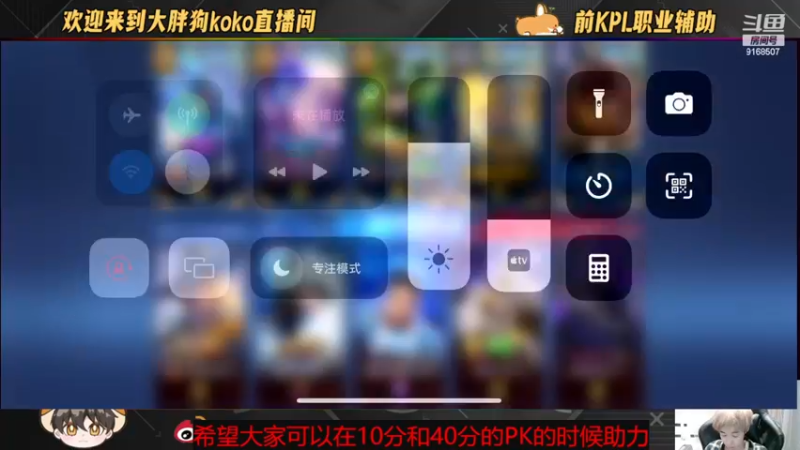 【2022-11-21 20点场】大胖狗koko：（巅峰前100）辅助可不只是混子