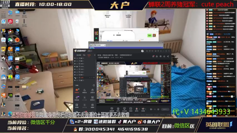 【2022-11-17 18点场】大户呀：国1猫！ 拐弯抹角 猪猪飞弹