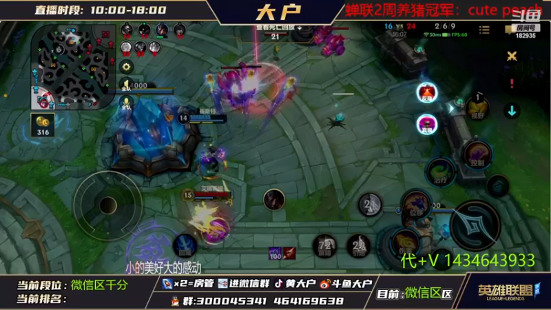 【2022-11-17 11点场】大户呀：国1猫！ 拐弯抹角 猪猪飞弹