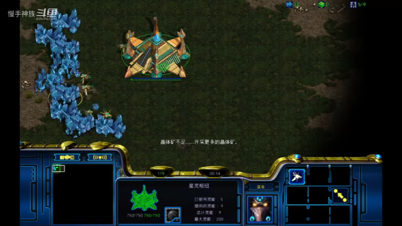 pvp-3bg甲虫tinmin-慢手神族-星际