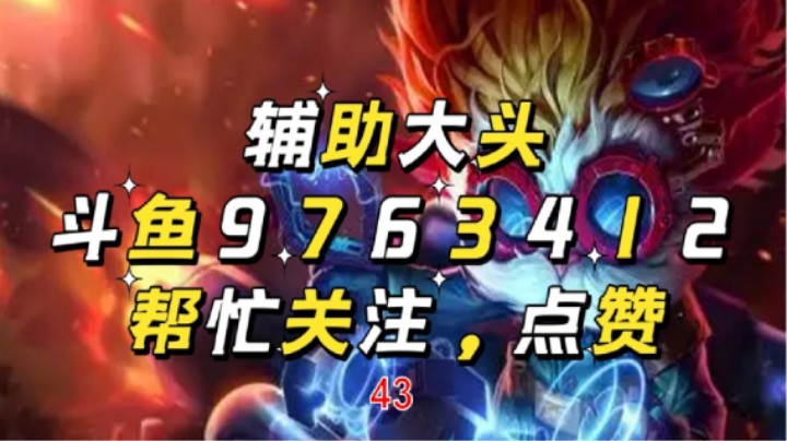 辅助大头43