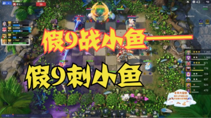 假9战小鱼转假9刺——可肉也可输出爆炸