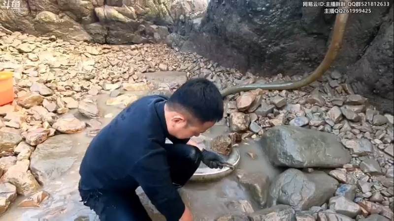 【2022-11-22 02点场】胖胖灬：胖胖OB：转会期-尺帝要来LPL啦？