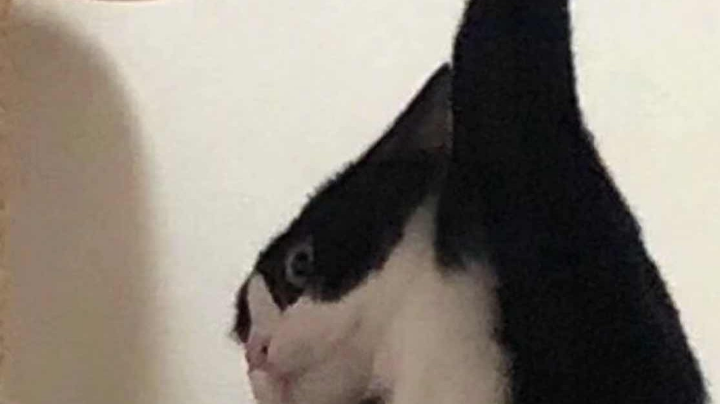 666