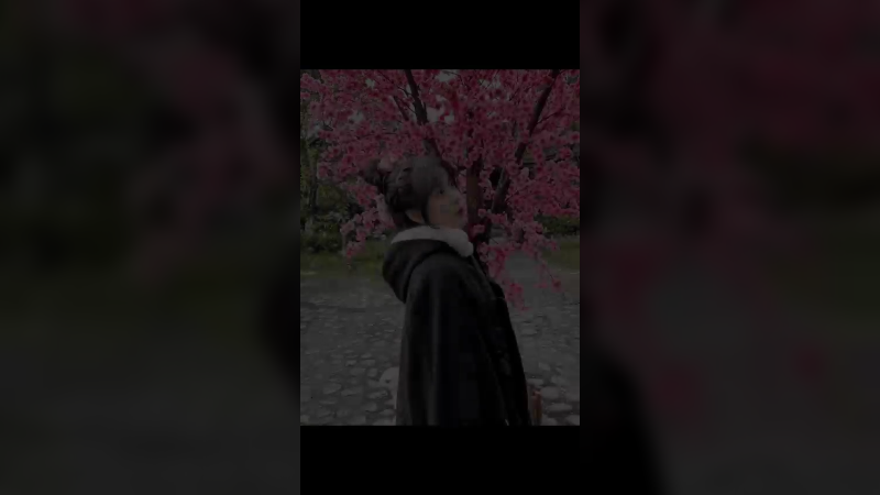 视频10