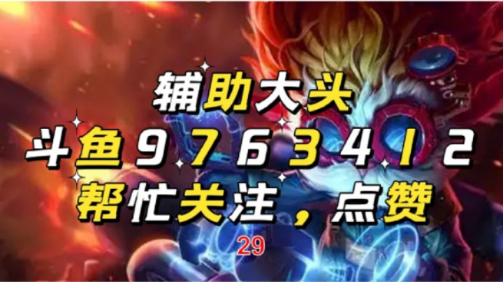 辅助大头29
