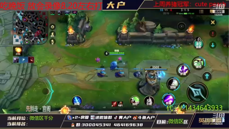 【2022-11-17 20点场】大户呀：露露专场！~冲啊！