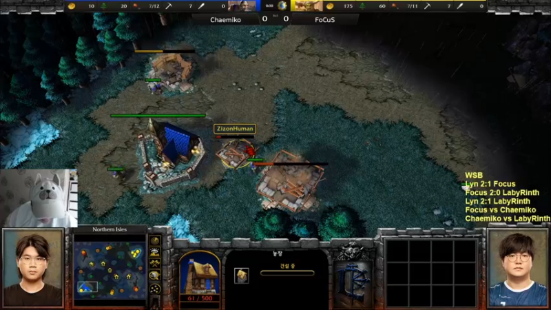 【TED出品】WSB循环赛 Focus vs Chaemiko 一直用会上瘾