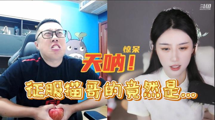 【大龙猫】征服猫哥的竟然是...