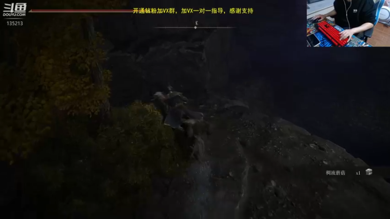【2022-11-23 01点场】神奇的阿诺：29号登录巨龙岛