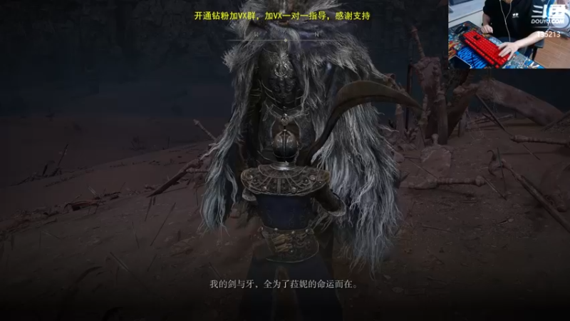 【2022-11-23 05点场】神奇的阿诺：29号登录巨龙岛