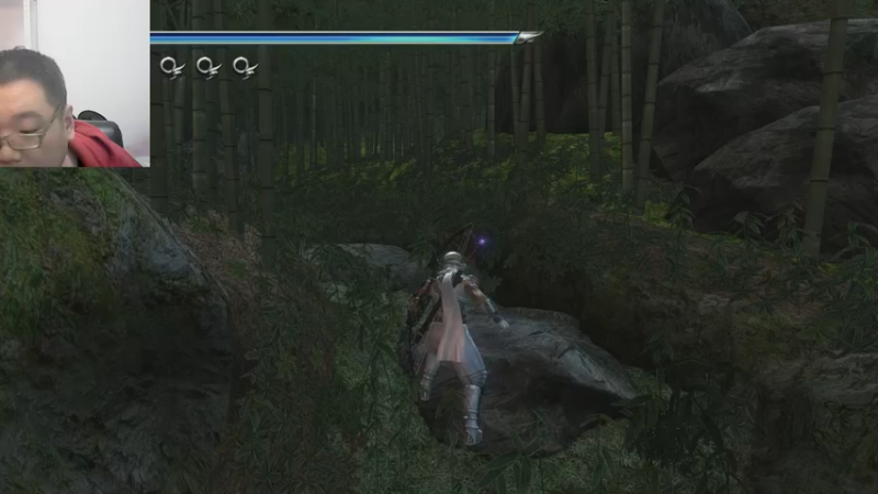 忍者龙剑传二代22-11-23 (11)