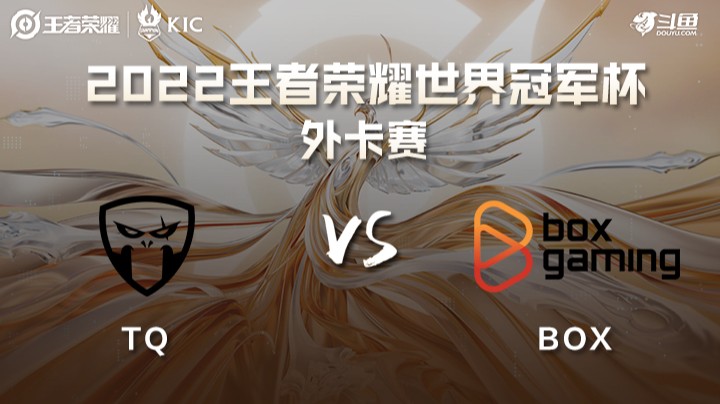 世界冠军杯外卡赛 西欧TQ VS 越南BOX