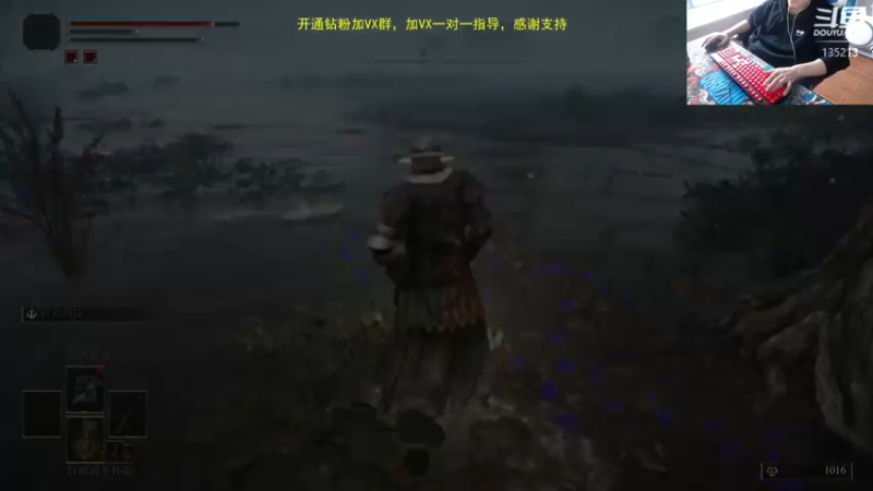 【2022-11-22 15点场】神奇的阿诺：29号登录巨龙岛