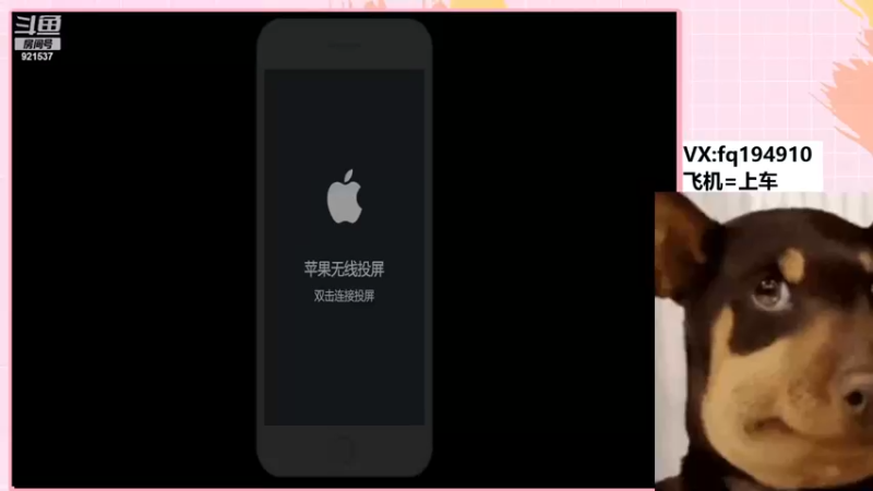 【2022-11-24 20点场】番茄1949丶：今天去拍照，鸽了哈~