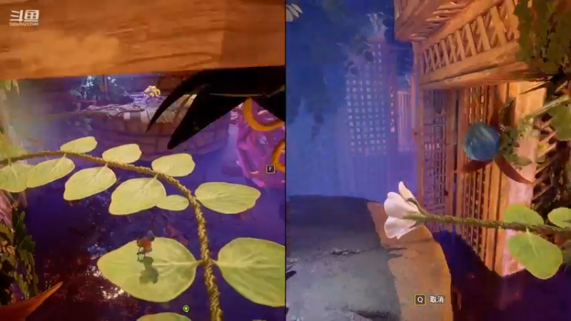 【2022-11-24 00点场】Dy花老湿：【守护手机荣光】