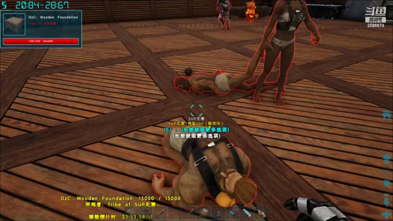 【2022-11-23 19点场】夏木AWT：新人主播，喜欢的请点点关注