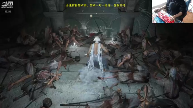 【2022-11-24 15点场】神奇的阿诺：29号登录巨龙岛