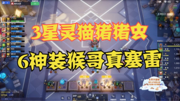 3星灵猫猪猪虫，6神装猴哥真塞雷