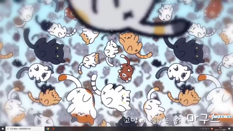 【2022-11-23 09点场】夹克兔：我感觉要上天，与太阳肩并肩