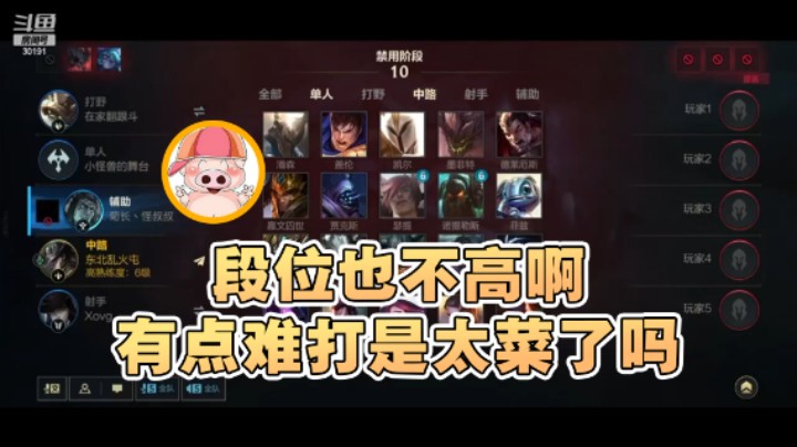 【东北乱炖】：段位也不高啊，有点难打是太菜了吗