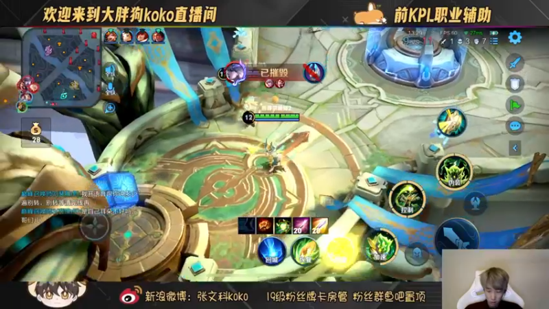 【2022-11-24 22点场】大胖狗koko：（巅峰前100）辅助可不只是混子