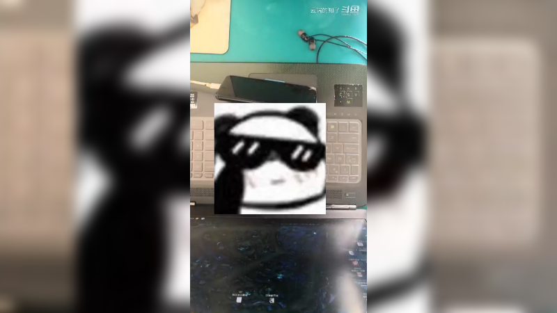 头盔蛋龟开箱