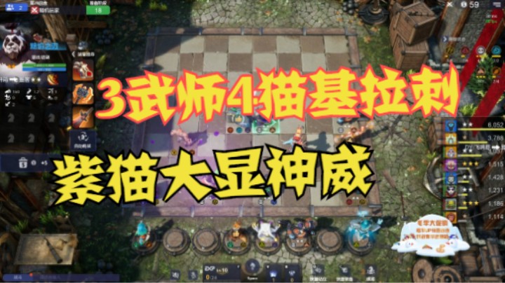 3武师4猫基拉刺，紫猫大显神威