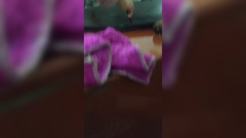 雨天下窝233