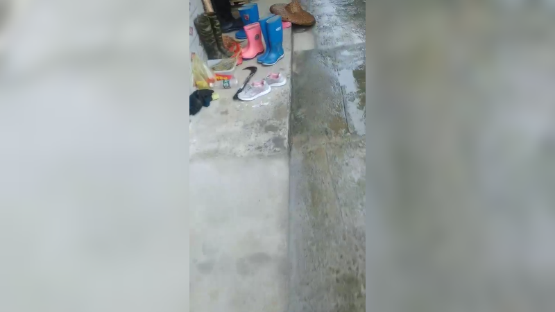 雨天下窝113